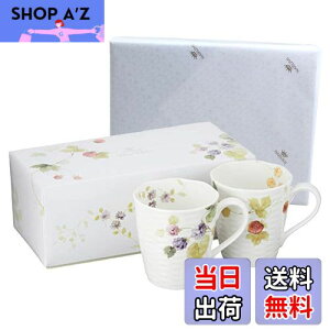 yzNARUMI(i~) yA}OJbv [V[K[f 370cc x[ 2Zbg 킢  [t 傫 j ̓ v[g dqW H@Ή Mtg