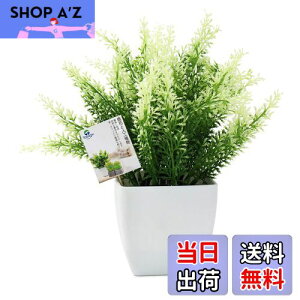 yzTOSSOW lHϗtA  tFCNO[ tFCNϗtA l CeA v[g Ηt