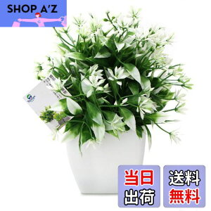 yzTOSSOW lHϗtA  tFCNO[ tFCNϗtA l CeA v[g ΂Ɣt