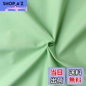 yz{Rtf(Nippon Chuko) GCeBXNGA n n 100% V[eBO xr[O[ O[n Ж110cm×50cmؔJbg KD4630-122-50CM n nn GCeBXNGA