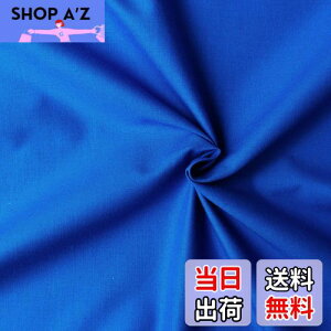 yz{Rtf(Nippon Chuko) GCeBXNGA n n 100% V[eBO AI u[n Ж110cm×50cmؔJbg KD4630-236-50CM n nn GCeBXNGA