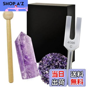 yzNX^`[i[ 4096Hz  VR 򉻗p 5_Zbg bNX {t AWXg WH26 - Purple