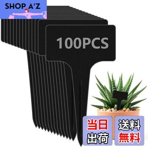 yzzakata |x A^O Ax  T^x 100 | Ԓd A K[fjO Ďgp\ K[fjO Ŕ ~j CeA |pi