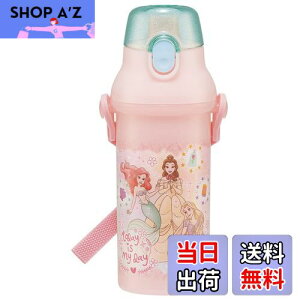 【送料無料】スケーター(Skater) 水筒 480ml プリンセス 23 子供用 女の子 抗菌 プラスチック製 日本製 PSB5SANAG-A