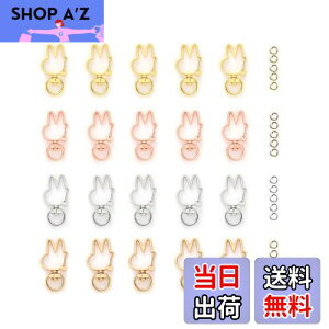 yzYFFSFDC L[z_[ 20 ]Jt ^b`L[z_[ JCC DIYpp[c  L[O Vo[ S[hȂ4F (eL[z_[)