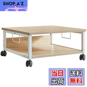 yzIBUYKE v^[ 2i ItBXS [ [ fXN ω׏d50kg LX^[t 50cm s50cm 24cm i` JPTLJ008R