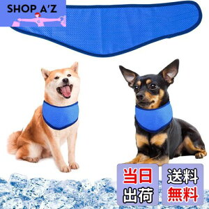 pN[o_i N[lbN p⊴O ybgpp pN[XJ[t p^I ybgp⊴ pXJ[t {[_[ ΍ObY ₷ y ߉\ 