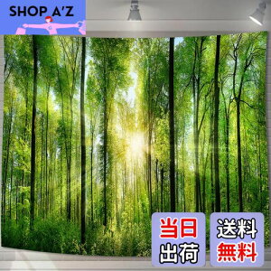 yzU-SITU ^yXg[ Ǌ| Ǐ X  ъ RiF IV wi @\ z|X^[ CeA ͋C]iTCYF75cm x 100cmjJ[FGT0107SA