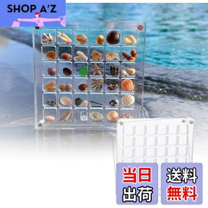【送料無料】siawadeky 貝殻 ディスプレイ ボックス 2個セット 全透明 マグネット式 ミニ貝殻ボックス 防水 防塵 アクリル製 シェル収納ケース 巻貝 ヒトデ ネイル ビーズ 小物入れ 磁気ケース