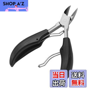 yzPAKESI pܐ؂ p vdl ZLZCCRAIJCȐ^CR`^CREIEp