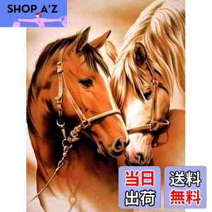 yzReofrey _Ch̊G n, _ChA[g NXXeb` Lbg , Lbg Sʓ\t^Cv r[YA DIY |Lbgz[ Xg CXg[ 