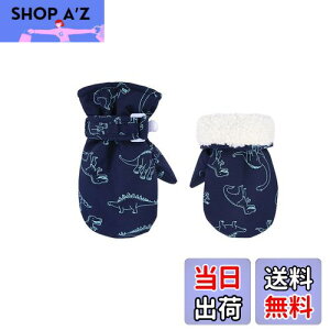 yz[Tidyworm] xr[    ~ Ԃ  ~g h h V LbY  O[u j̎q ̎q qp ΍ ʉ ʊw AEghA (lCr[, 6`2)