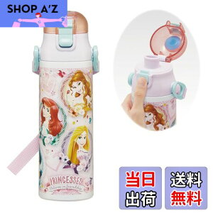 yzXP[^[(Skater) qp XeX   580ml fBYj[ vZX 24 qɗDyʃ^Cv ۗp waterbottle X|[c{g  LbY q ǂ r