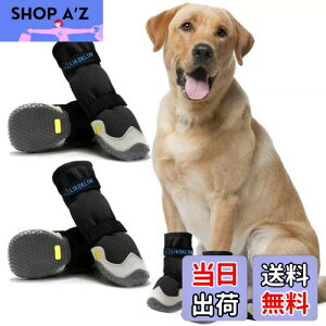 LIKOKLIN hbOu[c C hbOV[Y  C h Eɂ ̌C ~  ی p C pC p V[Y S ʋC ̂U h J̓ A^  U  