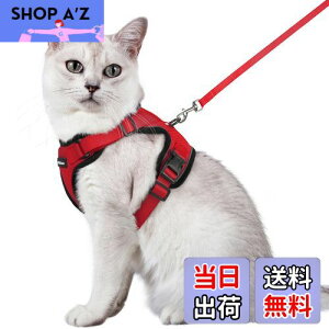 yzRabbitgoo L n[lX [h Zbg Ȃ Lpn[lX \tgy Lp ^ ^ U ЊQ ́[˂ [ グ TCY߉ 锽 ʋC