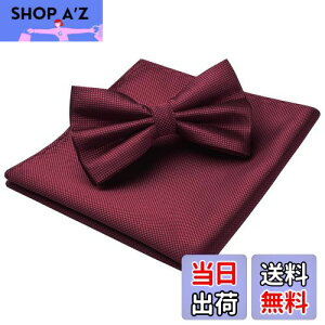 yz[HISDERN]  lN^C Y  `[t Zbg yCY[  n {E^C ԕ uh v[g BR-01