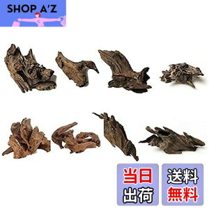 yz8 كVN R GCuؐ̑ i 8`10cmj