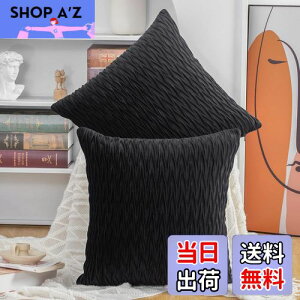 【送料無料】Madizz クッションカバー 2枚セット 北欧 柔らかい ビロード無地 背当て 装飾 枕カバー 座布団カバー ソファ用 寝室用 50 x 50 cm ブラック