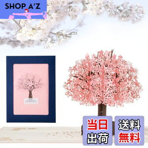 yzKesote bZ[WJ[h  ̃J[h |bvAbvJ[h o^C    t