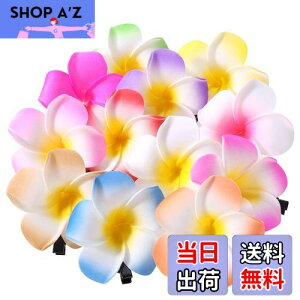 yzFrcolor  wAs wANbv  vA wAANZT[ wANbv nC  wbhhX 6cm 12F 24Zbg