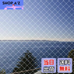 yzhlbg x_悯lbg 4m×10m JX ΍h ʎ؍͔|hblbg LNEh~ F ioh 15{tjLimthe