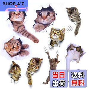 yzPazi EH[XebJ[ L   XebJ[ ˂ V[ 킢 3D ȒP DIY  \Ă͂  ǎ gC  Lb` CeA