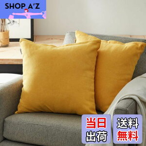 yzTopfinel NbVJo[ lۂ 45×45cm k  Ȗ n \t@w Jo[ zcJo[ CG[ 2ZbgiS10Fj