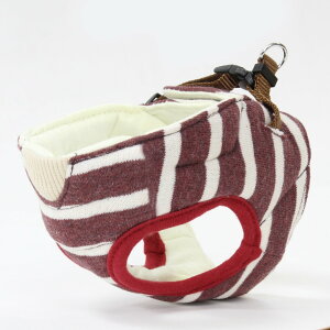 yzyeBI (Petio) 7΂̂₳n[lX {[_[