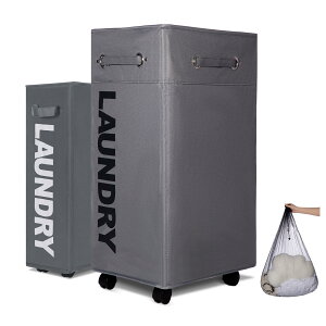 yzCaroeas 󂩂 h[oXPbg h[ 󂩂 ܂肽 LX^[t H t