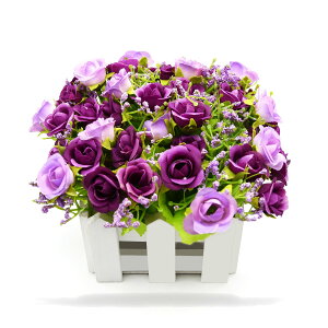 yzBEADY ~j_C[o lHϗtA  G} CTG}H tFCNO[ CeA Mtg j