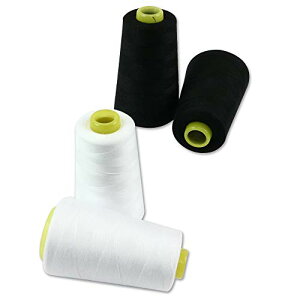 yzpeaces Ղ2743mI{F~V |GXef ٖD pƖpɂ (ubN2AzCg2)