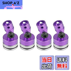 �y���������zJimdary �{�f�B�V�F���}�E���g�R�����A�{�f�B�}�E���g�ARC�J�[SCX104WD�p���C�V�F���|�X�gRC�J�[1:10�d��RC�J�[(purple)