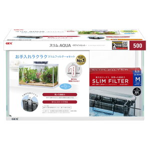 �y���������zGEX �X�����A�N�A�z���C�g�Z�b�g