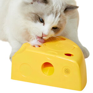 yzAZ-FRONT L   d`[Y^ Ht ݓŎ{\h V XgX ʓ