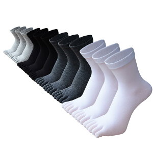 yz[VUNIANKO] ܖ{w\bNX Y  5{w ܖ{wC ܖ{w\bNX C Y Zbg LH ΍ 5{w\bNX ܐ\bNX CY 23~25cm [sAi]