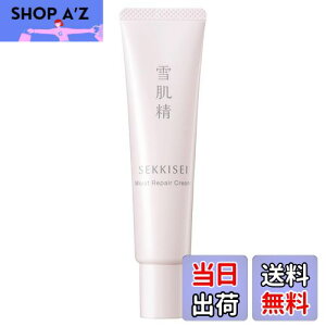 yzy򕔊Oiz ᔧ NAEFlX CXgyA N[ 40g q ێN[ FFzCg