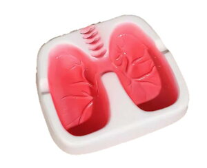 yzspeed mao낢 l x^ DM AbVgC FFzCg