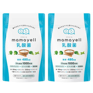 �y���������z�}�}�G�[�����_�� �t�_ ���z�� 480��g �D�w �D�P �Y�� �T�v�������g W���_�� �S �J���V�E�� ���N�g�t�F���� �r�t�B�Y�X�� ���_�� ���� 9��ނ̃r�^�~�� ���Y���22�� �z�� 1������ 