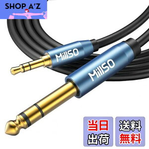 yzMillSO 6.35mm 3.5mm ϊP[u IX-IX I[fBIϊP[u 3.5mm~jvO to 6.35mmWvO 24bL XeIP[u 2.4m u[