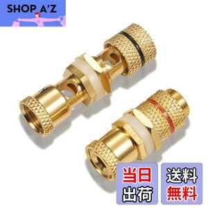 yzyoiivOp XXzby yWYVERN AUDIOz oiivO/pI v≏ X̃X WV-CHU-K 11 (21g)