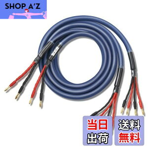 yzyoCC[z WYVERN AUDIO ɑ x 12c oiivOt i HIFI oCCOڑ oCC[ Xs[J[P[u 2{1g LRZbg yWVA-04BW12z iu[j 2.