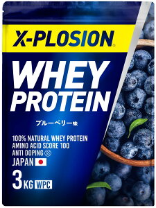 【送料無料】エクスプロージョン プロテイン 3kg ホエイプロテイン ブルーベリー味 WPC X-PLOSION 日本製造