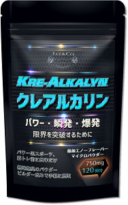 yzJAY&CO. K NAJ pE_[ i ܂JvZfzj H (750mg×120, 90g)