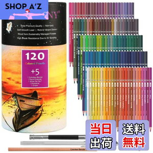 yzHIFORNY 125{̃J[yVZbgAl̓hGpA120F̃J[yVƃGNXgAA[eBXg̃\tgRAAlASҁAq̃h[COyVA[