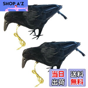 �y���������zONESORA �J���X�悯 ���悯�O�b�Y �{���������� ���A���H�уJ���X �y���U��T�C�Y 2�H�z �Ԃ牺���Ē݂邷���� �J���X����