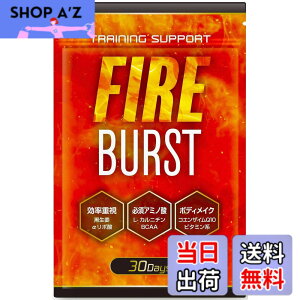 �y���������z�yFIRE BURST�z L-�J���j�`�� BCAA �T�v�� �^�u���b�g ���I�f�� 30����