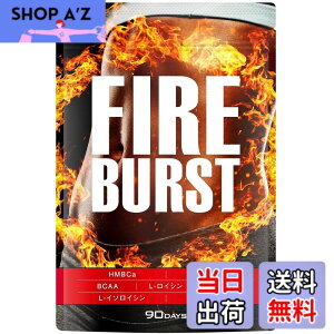 �y���������z�yFIRE BURST�z L-�J���j�`�� BCAA�z�� �T�v�� ���I�f�� 90����