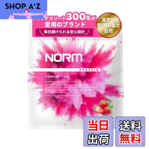 �y���������zNORM �m�[�� �z�G�C �v���e�C�� �l�H�Ö����s�g�p �X�g���x���[ 1kg 300���ȏ�̃g�b�v�A�X���[�g���p WPC WHEY PROTEIN �z�G�C�v���e�C�� ��������