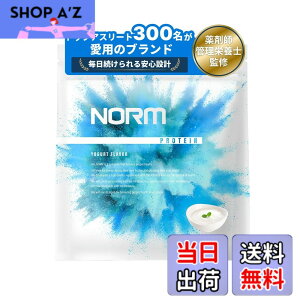 �y���������zNORM �m�[�� �z�G�C �v���e�C�� �l�H�Ö����s�g�p ���[�O���g 1kg 300���ȏ�̃g�b�v�A�X���[�g���p WPC WHEY PROTEIN �z�G�C�v���e�C�� ��������