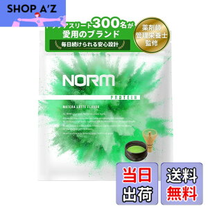 �y���������zNORM �m�[�� �z�G�C �v���e�C�� �l�H�Ö����s�g�p �������e 1kg �������� 300���ȏ�̃g�b�v�A�X���[�g���p WPC WHEY PROTEIN �z�G�C�v���e�C��